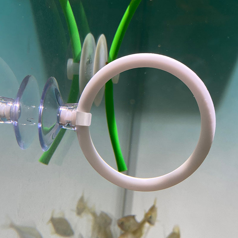 1 adet plastik balık tankı akv - Gymnastic Ring incelemesi ve fiyatı